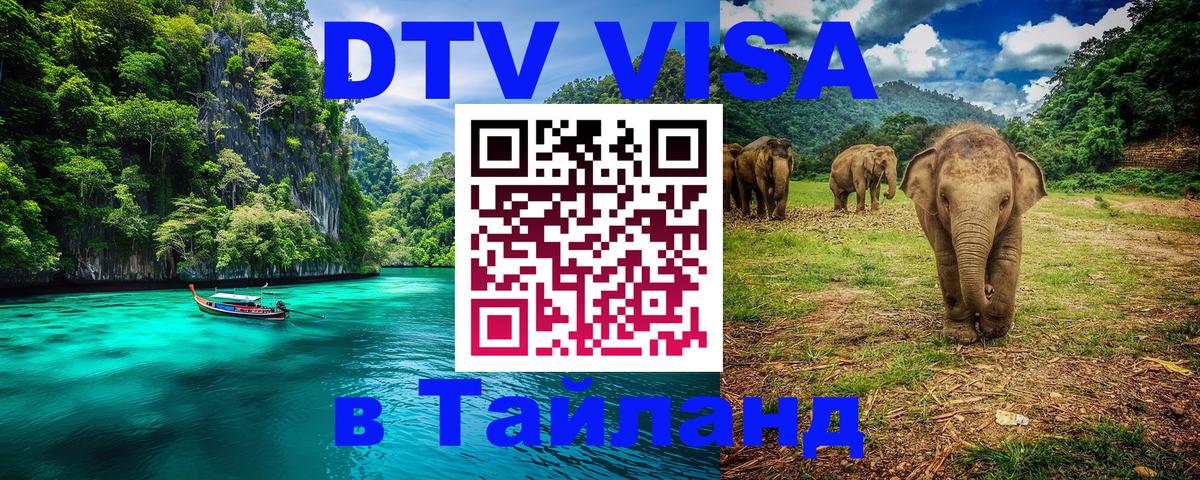 Стоимость и условия DTV визы — оформление в Таиланд под ключ - Мурманск 